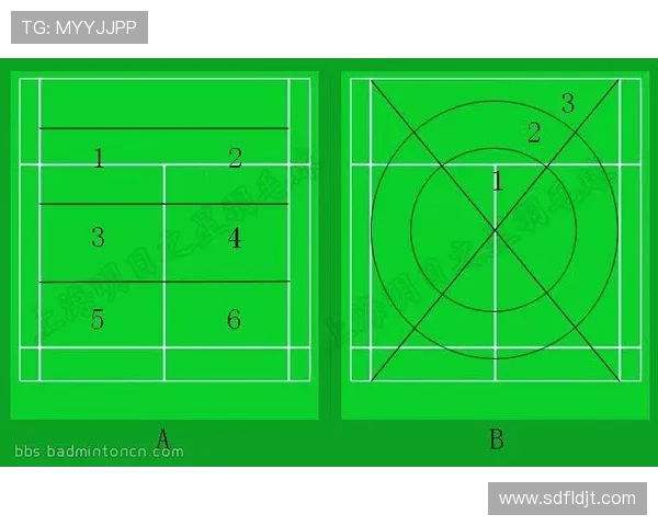 武汉羽毛球队在精英赛中的战术分析与表现评估
